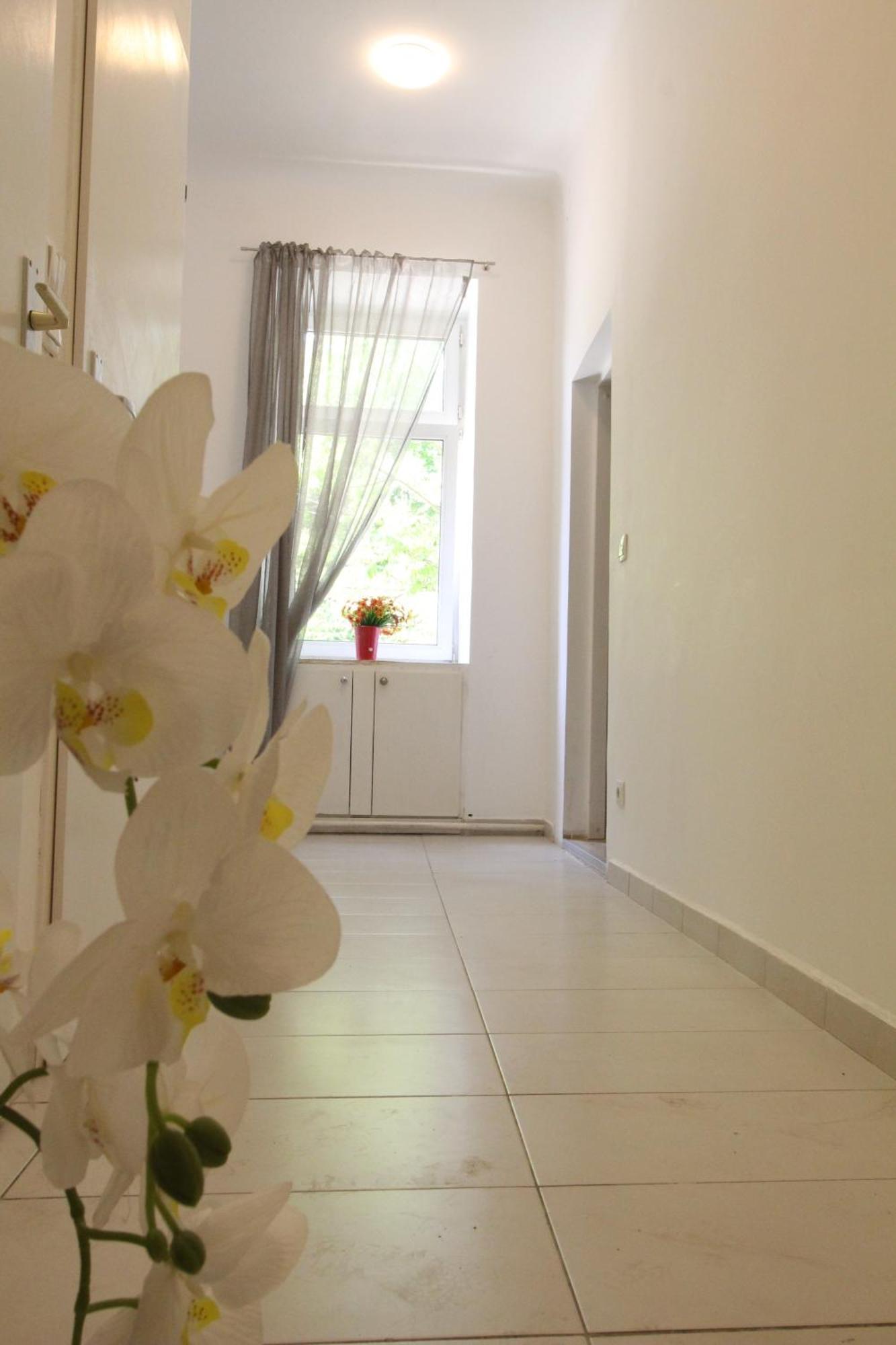 Hospedagem domiciliar Cozy In Pragerstrasse Viena